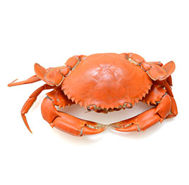 Crab 3/4 pc in 1 kg